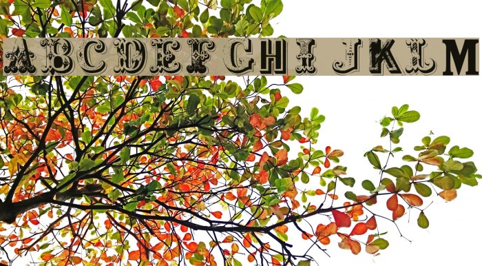 Shambhala Initials Plain Example 3