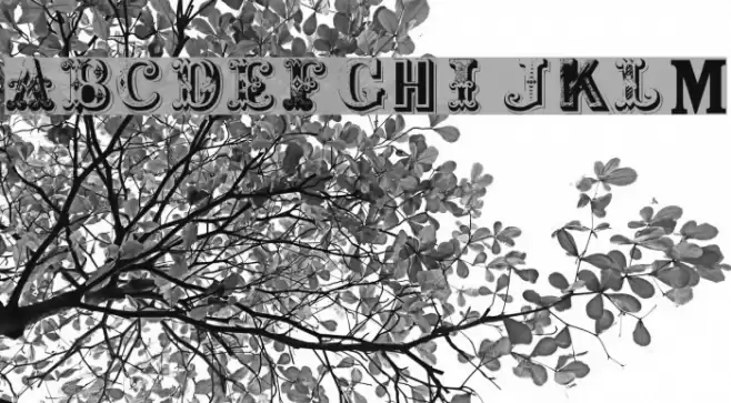 Shambhala Initials Plain Font examples