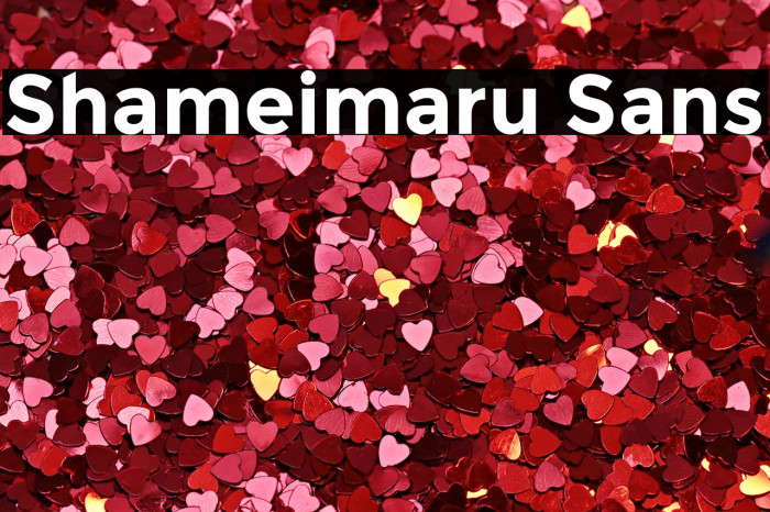 Shameimaru Sans Fonte examples