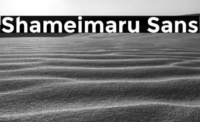 Shameimaru Sans Fonte examples