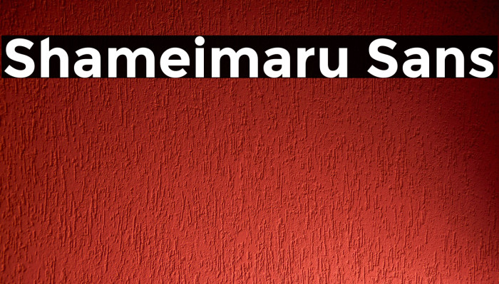 Shameimaru Sans Fonte examples