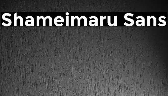 Shameimaru Sans Fonte examples