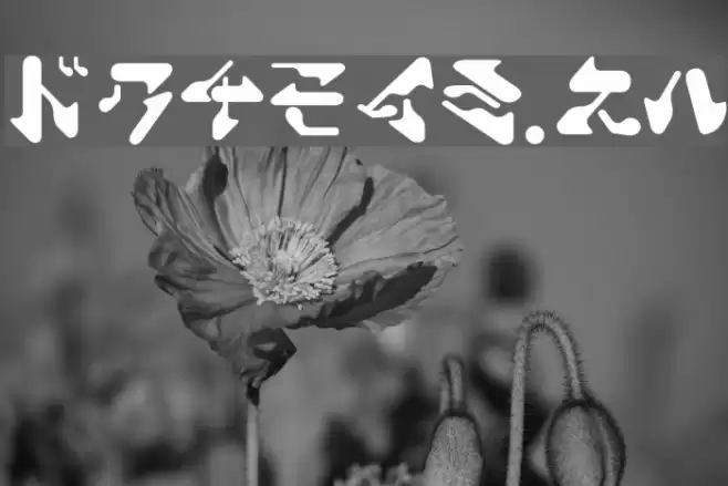 ShamenJr. Font examples