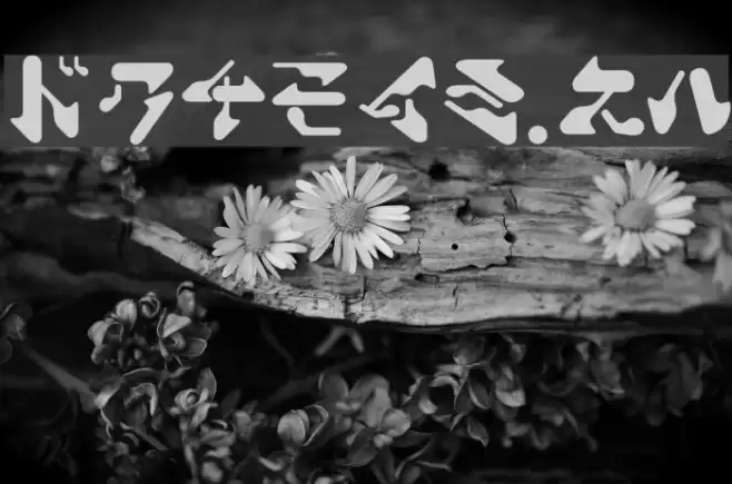 ShamenJr. Font examples