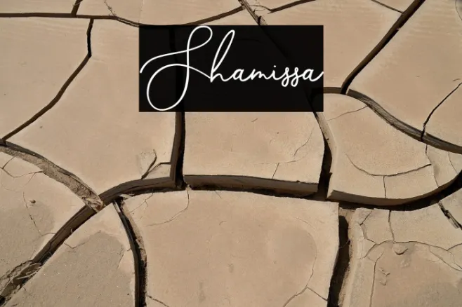 Shamissa Example 2