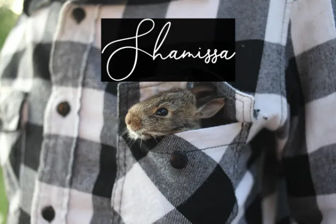 Shamissa Example 3