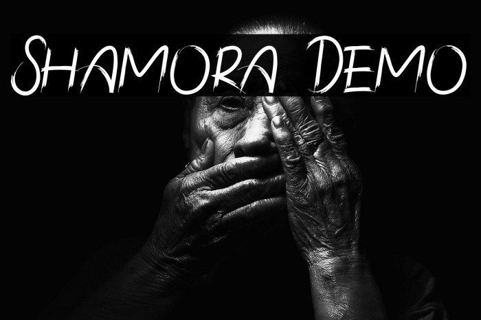 Shamora Demo Example 2