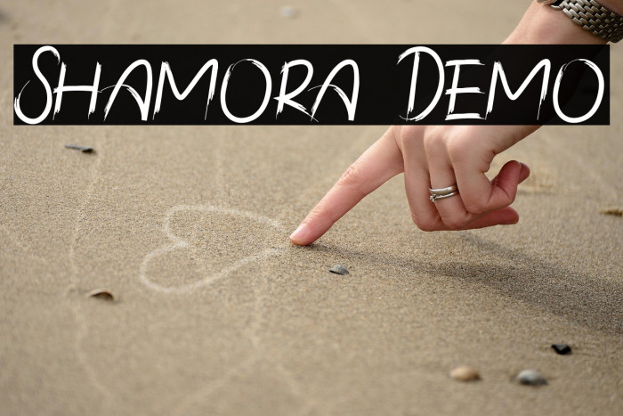 Shamora Demo Example 3