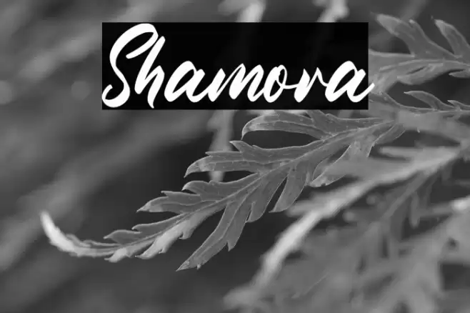 Shamora Font examples