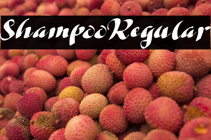 ShampooRegular Example 1