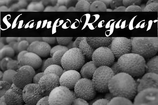 ShampooRegular Font examples