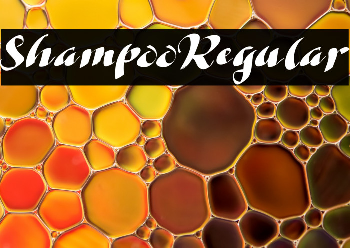 ShampooRegular Example 2