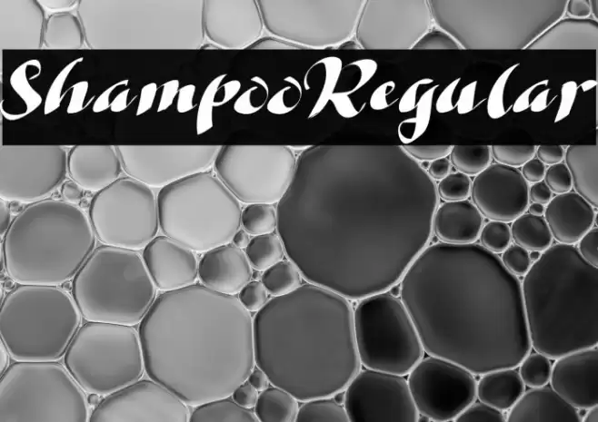 ShampooRegular Font examples