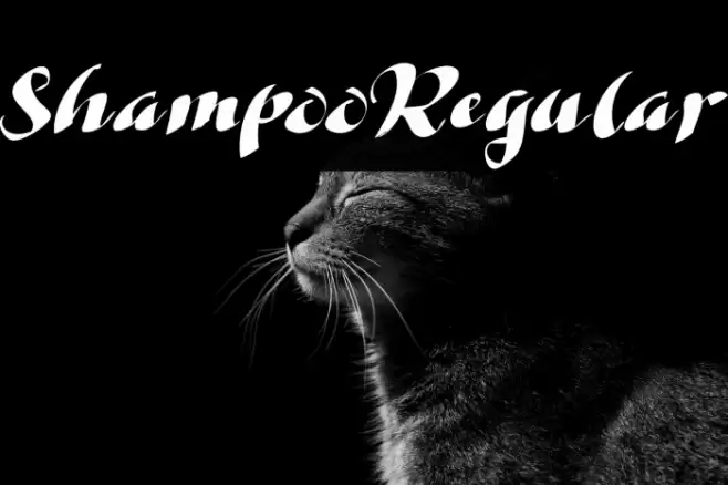 ShampooRegular Font examples