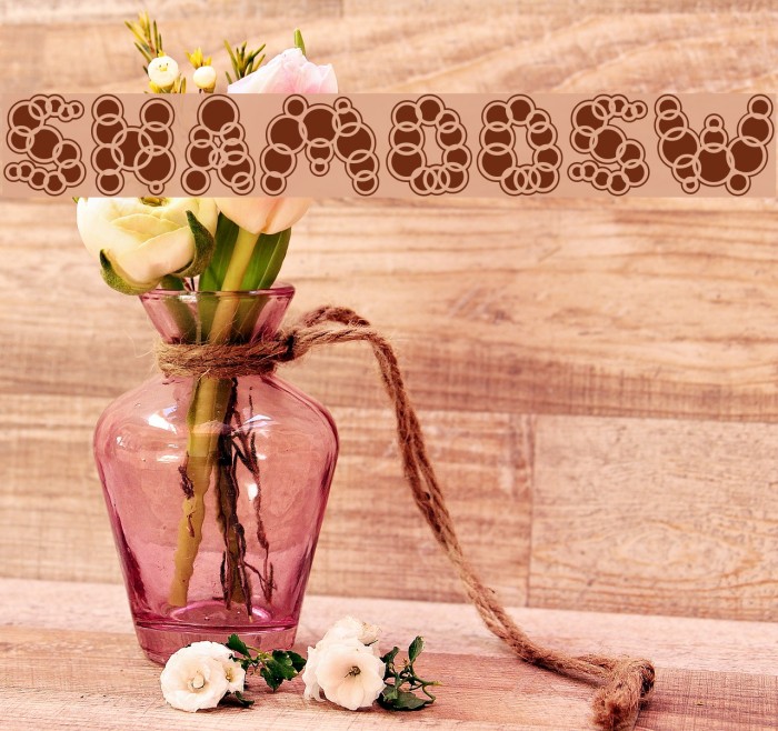 ShampooSW Font examples