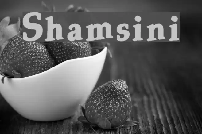 Shamsini Font examples