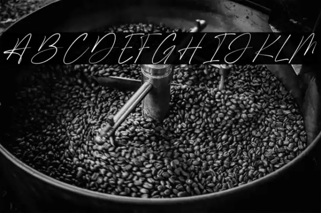 Shamson Signature Caratteri examples