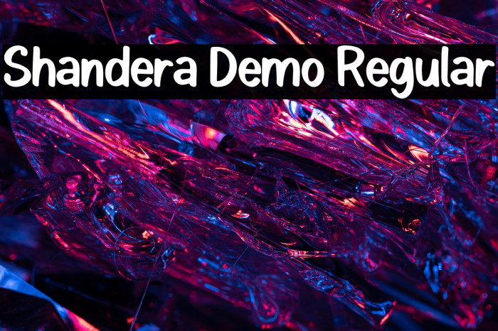 Shandera Demo Regular Example 2