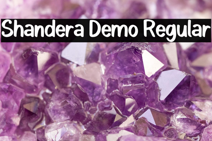 Shandera Demo Regular Example 3