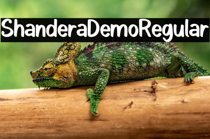 ShanderaDemo-Regular Example 2