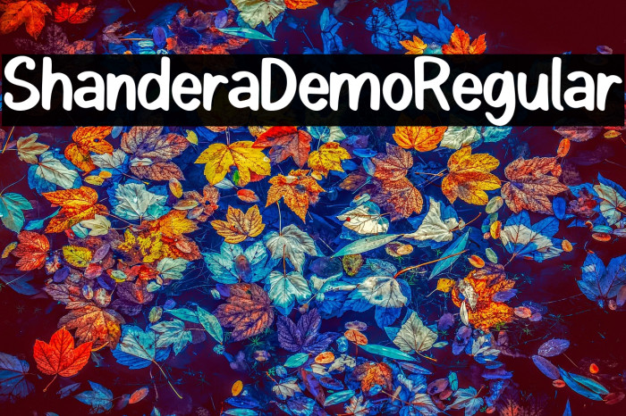 ShanderaDemo-Regular Example 3