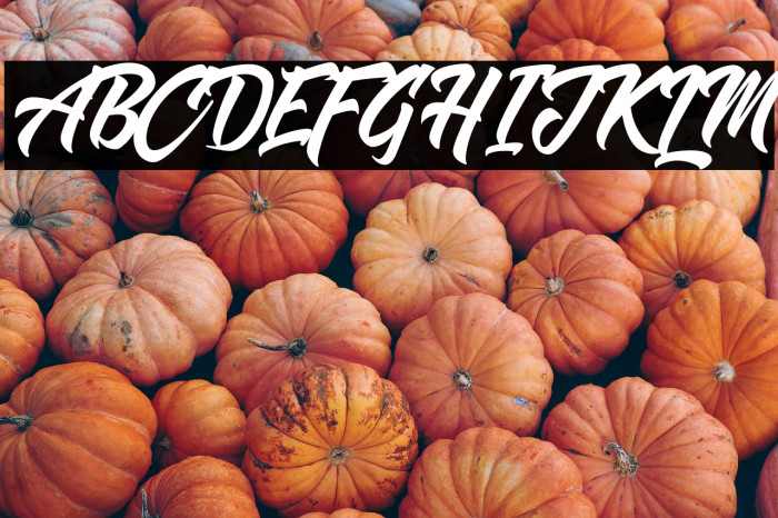 Shanders Free Example 1