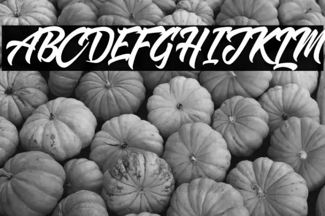 Shanders Free Font examples