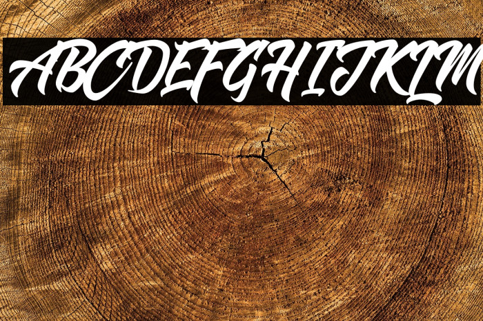 Shanders Free Example 2