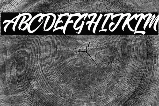 Shanders Free Font examples