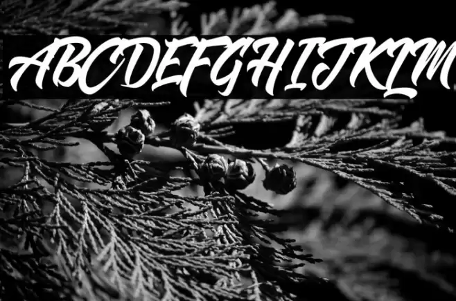 Shanders Free Font examples