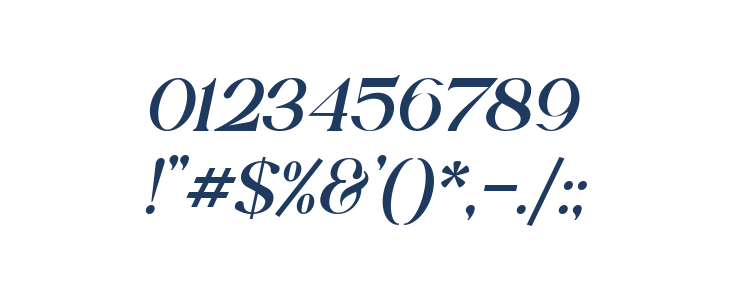 Shandora DEMO Italic Other Characters