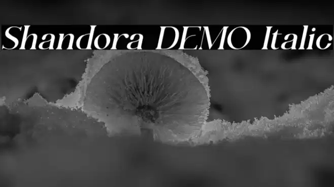 Shandora DEMO Italic Font examples