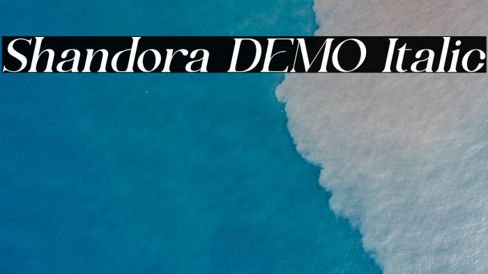 Shandora DEMO Italic Example 3