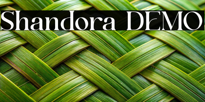 Shandora DEMO Example 1