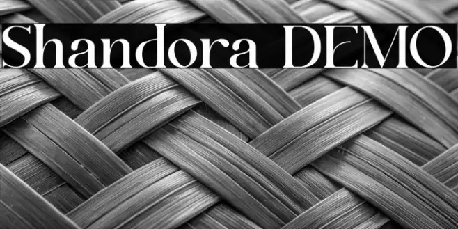Shandora DEMO Font examples