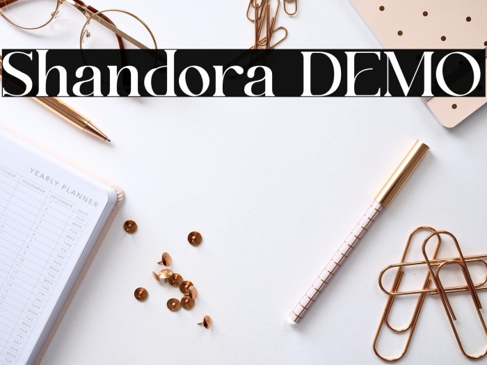 Shandora DEMO Example 2