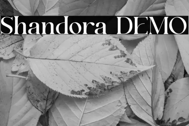 Shandora DEMO Font examples