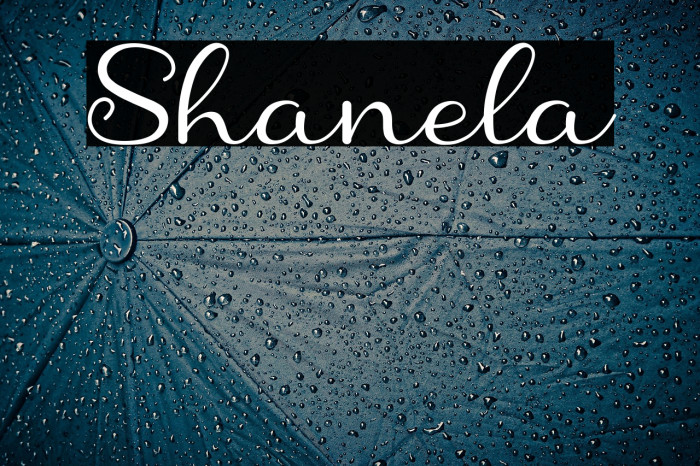 Shanela Example 2