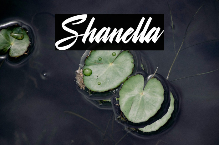 Shanella Example 1