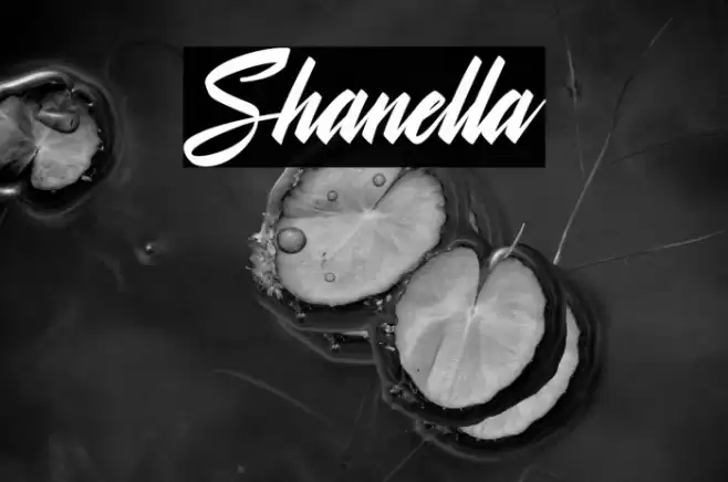 Shanella Font examples