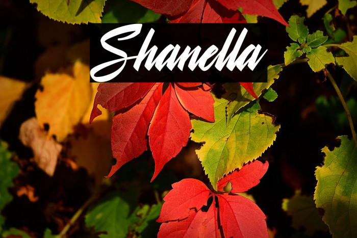 Shanella Example 2