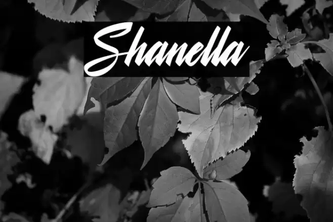 Shanella Font examples