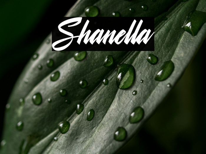 Shanella Example 3