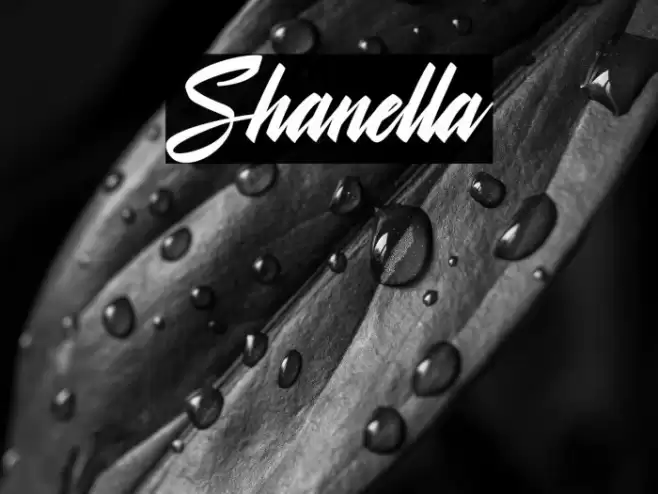 Shanella Font examples