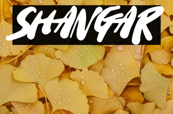 Shangar Example 1