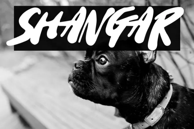 Shangar Example 2