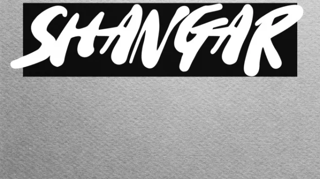 Shangar Example 3