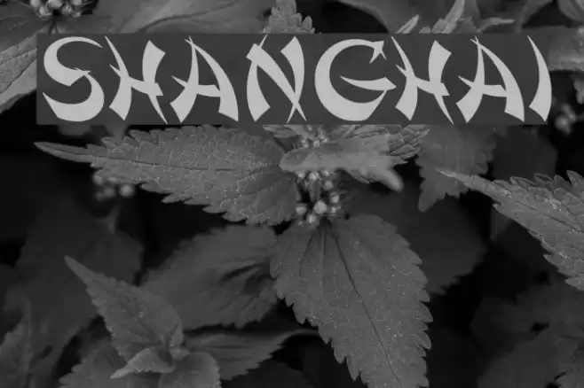 Shanghai خط examples