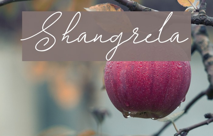 Shangrela Font examples
