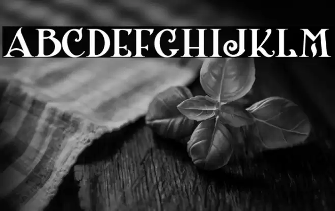 ShangriLaNFSmallCaps Font examples